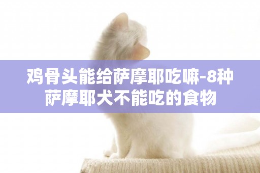 雞骨頭能給薩摩耶吃嘛-8種薩摩耶犬不能吃的食物