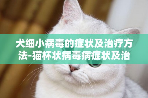犬細小病毒的癥狀及治療方法-貓杯狀病毒病癥狀及治療方法