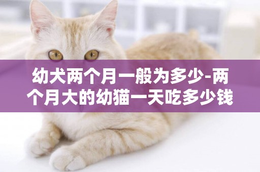 幼犬兩個月一般為多少-兩個月大的幼貓一天吃多少錢