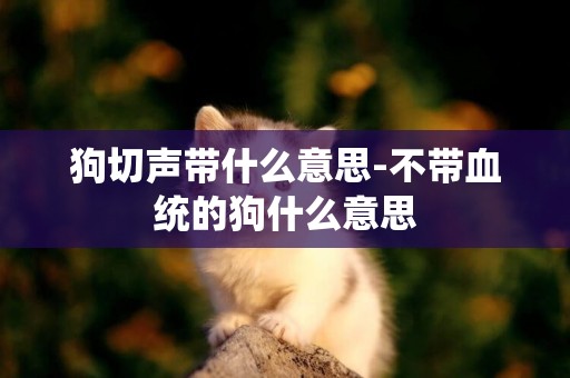 狗切聲帶什么意思-不帶血統的狗什么意思