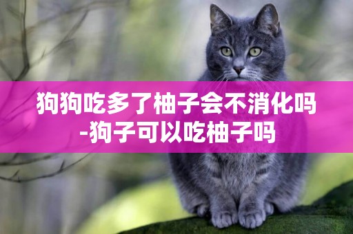 狗狗吃多了柚子會不消化嗎-狗子可以吃柚子嗎