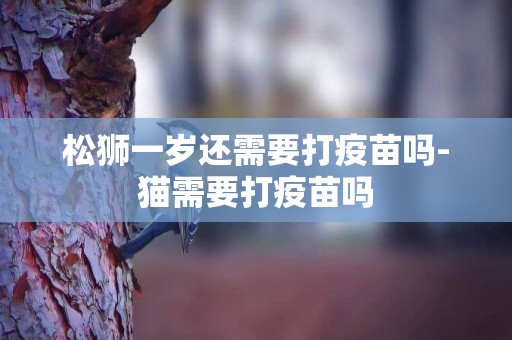 松獅一歲還需要打疫苗嗎-貓需要打疫苗嗎