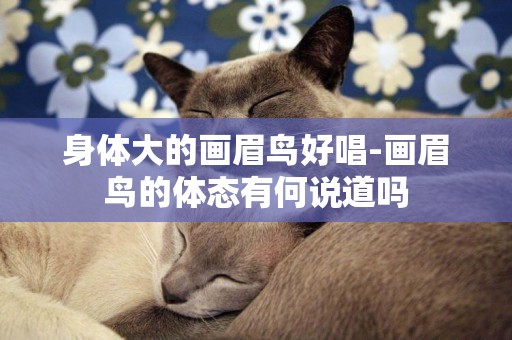 身體大的畫眉鳥好唱-畫眉鳥的體態有何說道嗎