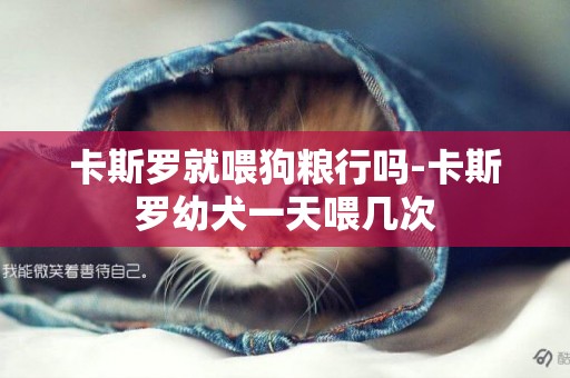 卡斯羅就喂狗糧行嗎-卡斯羅幼犬一天喂幾次