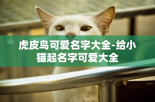 虎皮鳥可愛名字大全-給小貓起名字可愛大全