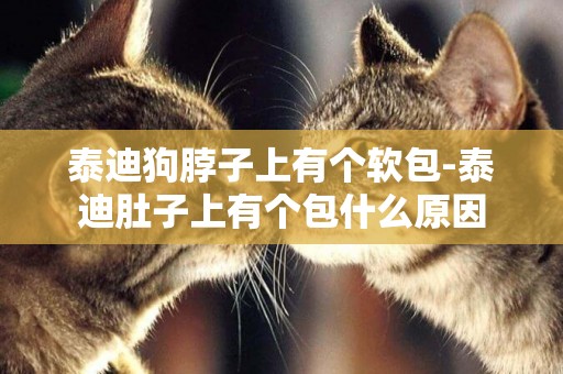 泰迪狗脖子上有個軟包-泰迪肚子上有個包什么原因