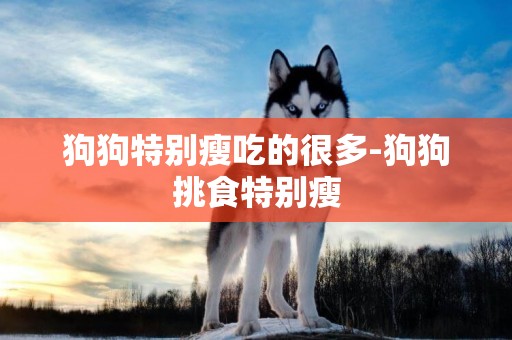 狗狗特別瘦吃的很多-狗狗挑食特別瘦