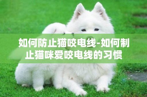 如何防止貓咬電線-如何制止貓咪愛咬電線的習慣