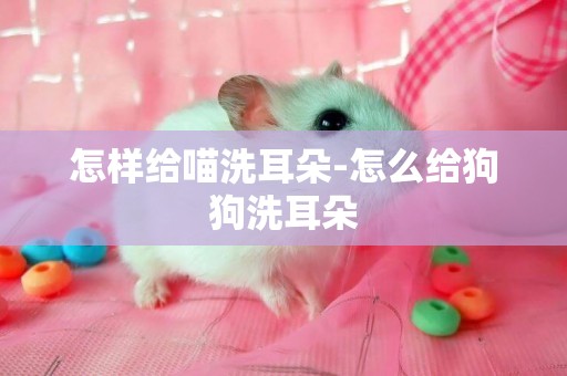 怎樣給喵洗耳朵-怎么給狗狗洗耳朵