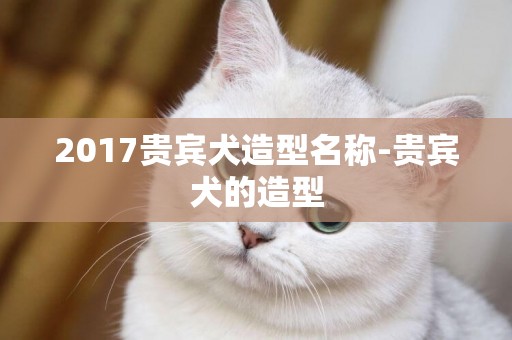 2017貴賓犬造型名稱-貴賓犬的造型