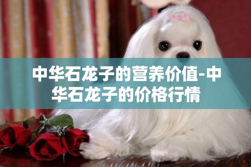 中華石龍子的營養價值-中華石龍子的價格行情