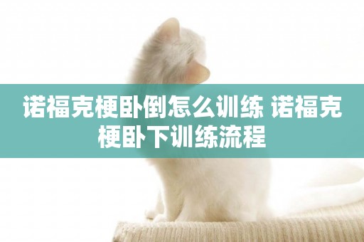 諾福克梗臥倒怎么訓練 諾福克梗臥下訓練流程