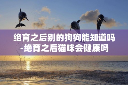 絕育之后別的狗狗能知道嗎-絕育之后貓咪會健康嗎