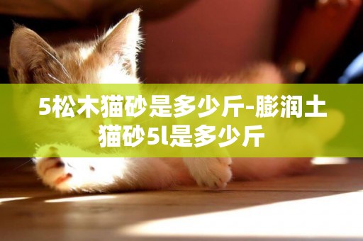 5松木貓砂是多少斤-膨潤土貓砂5l是多少斤