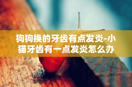狗狗換的牙齒有點發炎-小貓牙齒有一點發炎怎么辦