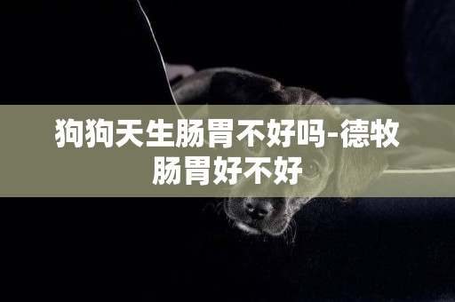 狗狗天生腸胃不好嗎-德牧腸胃好不好