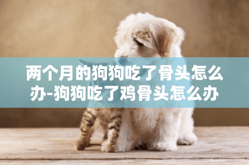 兩個月的狗狗吃了骨頭怎么辦-狗狗吃了雞骨頭怎么辦