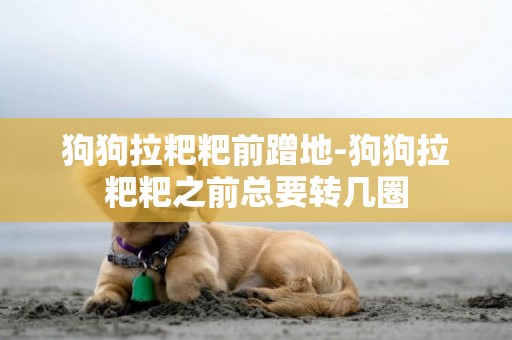 狗狗拉粑粑前蹭地-狗狗拉粑粑之前總要轉幾圈