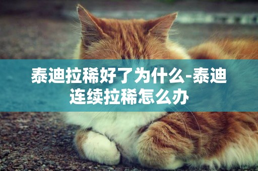 泰迪拉稀好了為什么-泰迪連續拉稀怎么辦