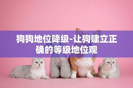 狗狗地位降級-讓狗建立正確的等級地位觀