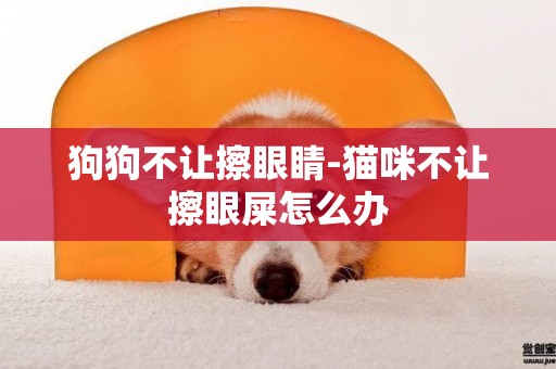 狗狗不讓擦眼睛-貓咪不讓擦眼屎怎么辦
