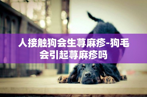 人接觸狗會生蕁麻疹-狗毛會引起蕁麻疹嗎
