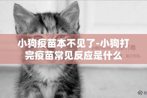 小狗疫苗本不見了-小狗打完疫苗常見反應是什么