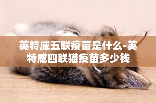 英特威五聯疫苗是什么-英特威四聯貓疫苗多少錢