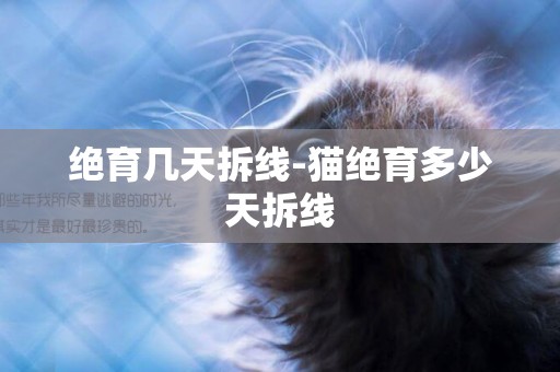 絕育幾天拆線-貓絕育多少天拆線