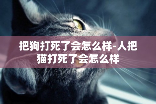 把狗打死了會怎么樣-人把貓打死了會怎么樣