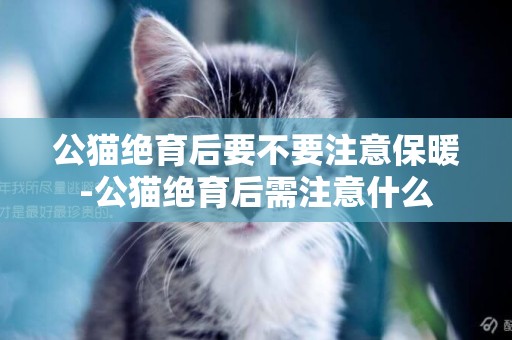 公貓絕育后要不要注意保暖-公貓絕育后需注意什么