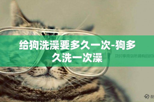 給狗洗澡要多久一次-狗多久洗一次澡