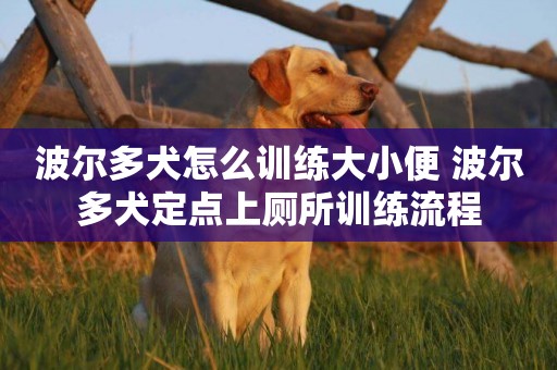 波爾多犬怎么訓練大小便 波爾多犬定點上廁所訓練流程