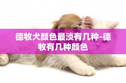德牧犬顏色最淡有幾種-德牧有幾種顏色