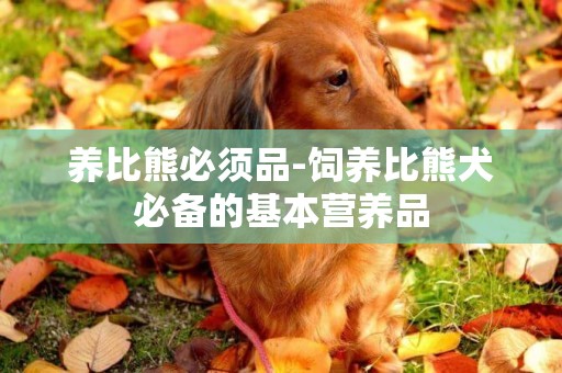 養比熊必須品-飼養比熊犬必備的基本營養品