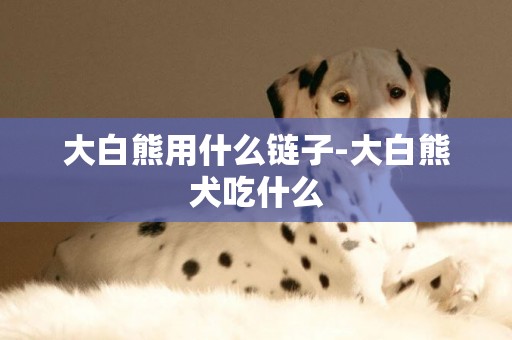 大白熊用什么鏈子-大白熊犬吃什么