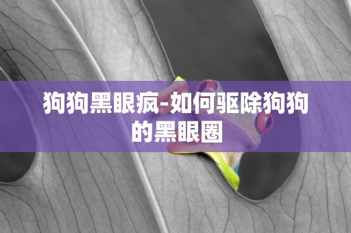 狗狗黑眼瘋-如何驅除狗狗的黑眼圈
