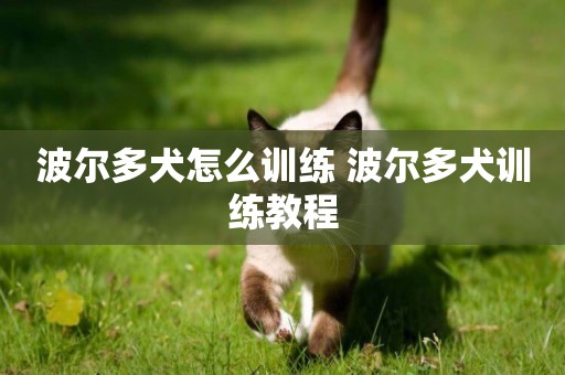 波爾多犬怎么訓練 波爾多犬訓練教程
