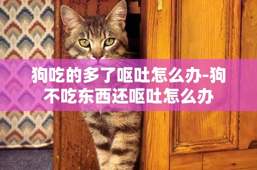 狗吃的多了嘔吐怎么辦-狗不吃東西還嘔吐怎么辦