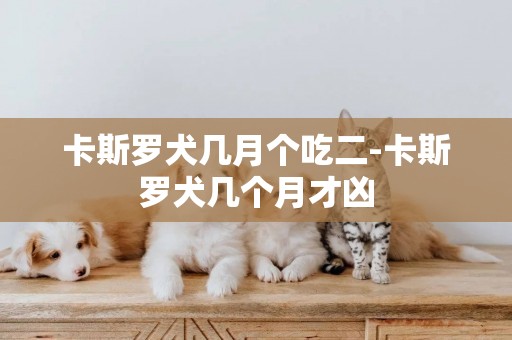 卡斯羅犬幾月個吃二-卡斯羅犬幾個月才兇