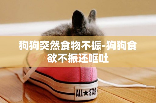狗狗突然食物不振-狗狗食欲不振還嘔吐