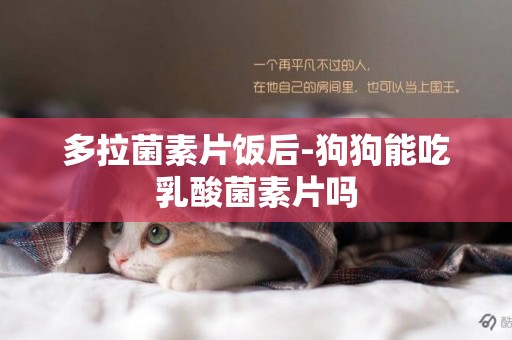 多拉菌素片飯后-狗狗能吃乳酸菌素片嗎