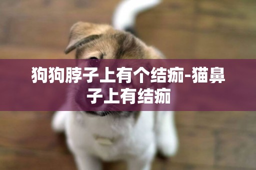 狗狗脖子上有個結痂-貓鼻子上有結痂