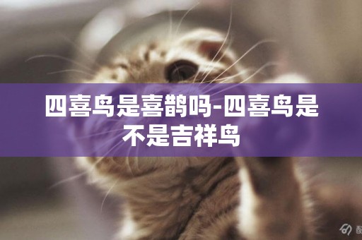 四喜鳥是喜鵲嗎-四喜鳥是不是吉祥鳥