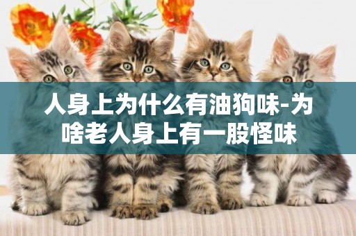 人身上為什么有油狗味-為啥老人身上有一股怪味