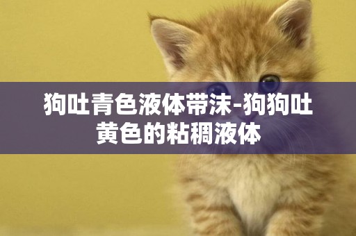 狗吐青色液體帶沫-狗狗吐黃色的粘稠液體