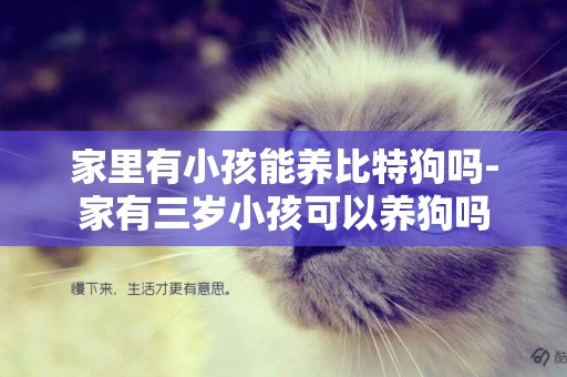 家里有小孩能養比特狗嗎-家有三歲小孩可以養狗嗎