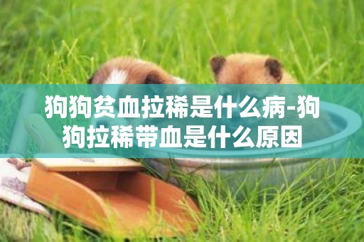 狗狗貧血拉稀是什么病-狗狗拉稀帶血是什么原因