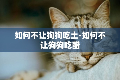 如何不讓狗狗吃土-如何不讓狗狗吃醋
