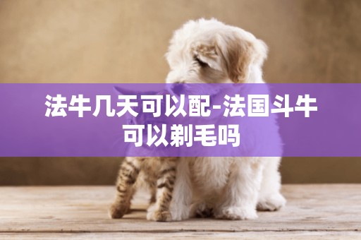 法牛幾天可以配-法國斗牛可以剃毛嗎
